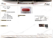 8.09/CT Natural Red Coral With Govt. Lab Certificate